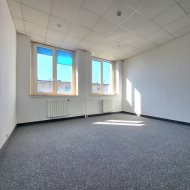 Lokal na wynajem