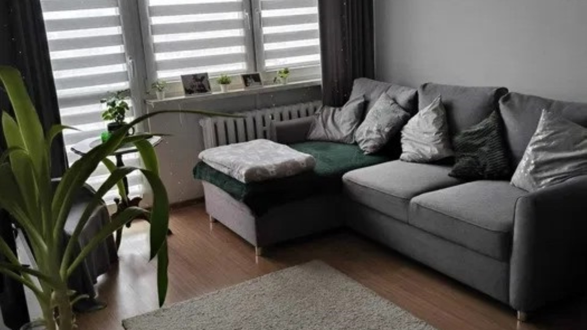 Mieszkanie na sprzedaż